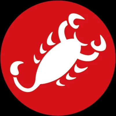 @castelli_fr profile image
