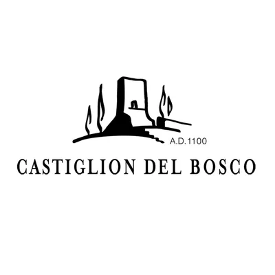 @castigliondelbosco profile image