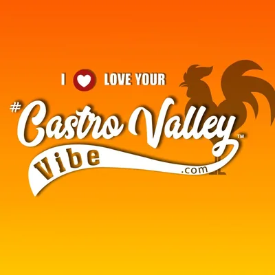 @castrovalleyvibe profile image