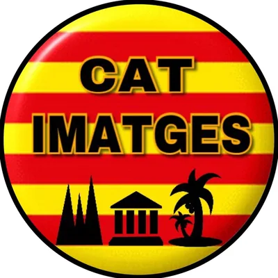 @cat_imatges profile image