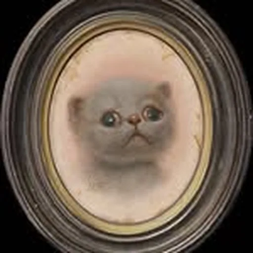 @catartshowla profile image