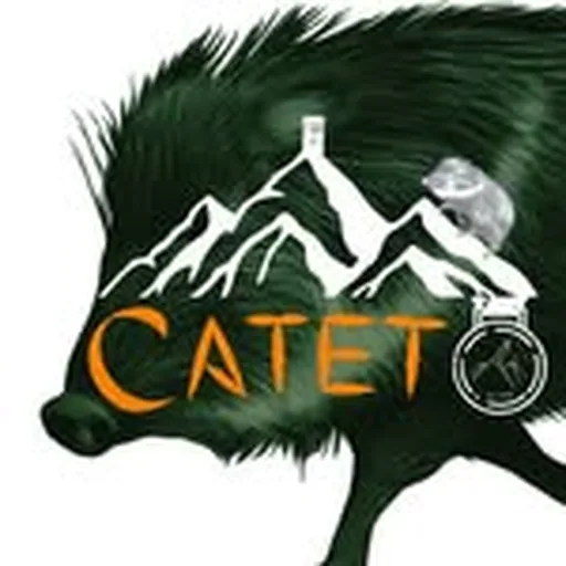 @catetotrailrun profile image
