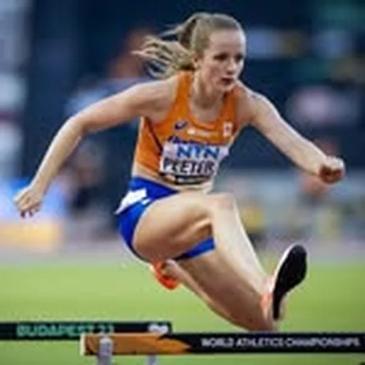 @cathelijnpeeters profile image