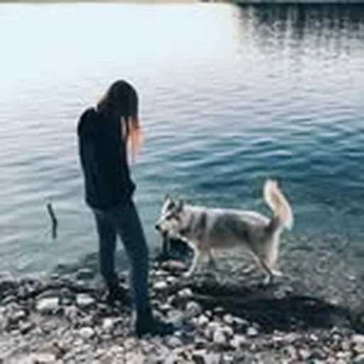@catielaffoon profile image