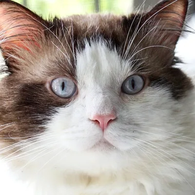 @catkarlo_ profile image