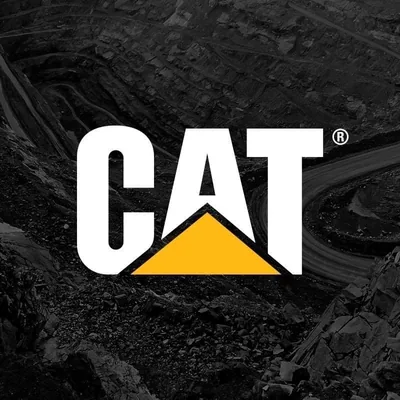 @catmining profile image