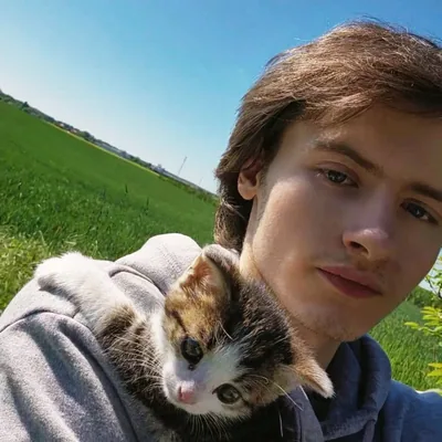 @catographer.123 profile image