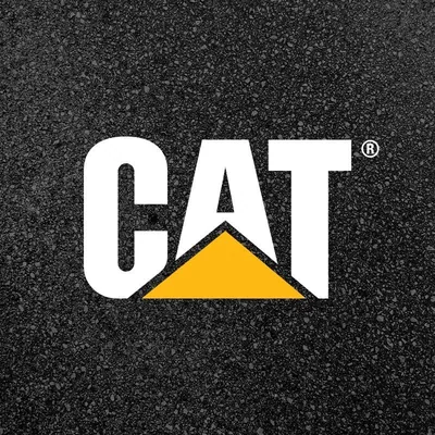 @catpaving profile image