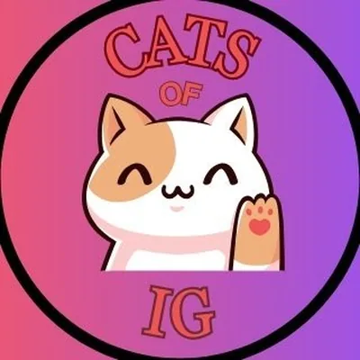 @catsofig profile image