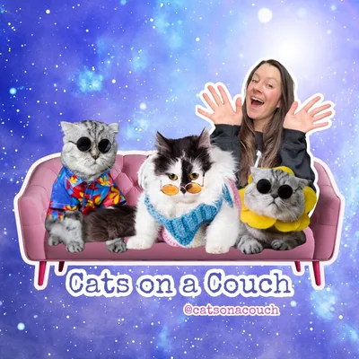 @catsonacouch profile image