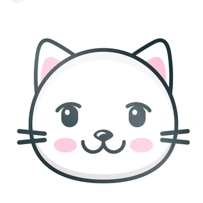 @catsphotosglobal profile image