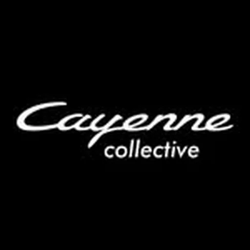 @cayenne.eu profile image