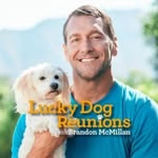 @cbsluckydog profile image