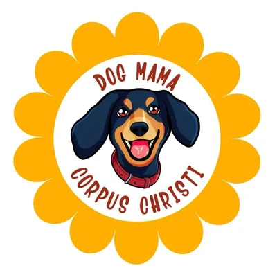 @cc_dogmama profile image