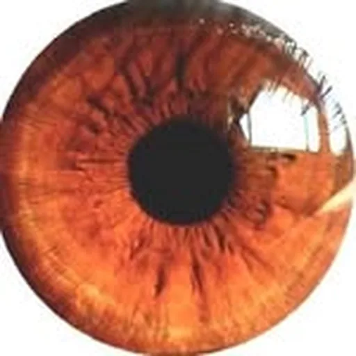 @ccaiow profile image