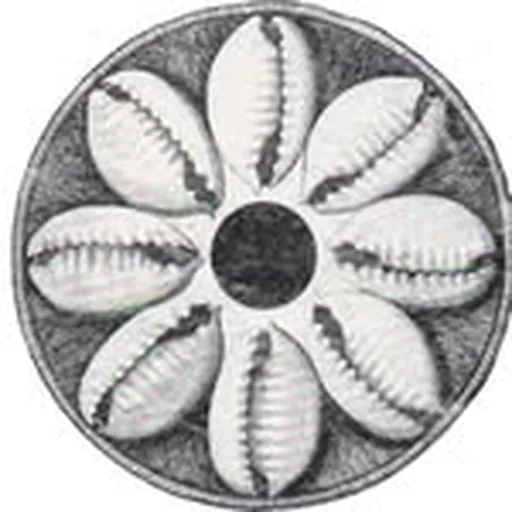 @cccadi profile image