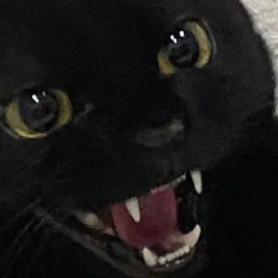 @cchemistryy_ profile image