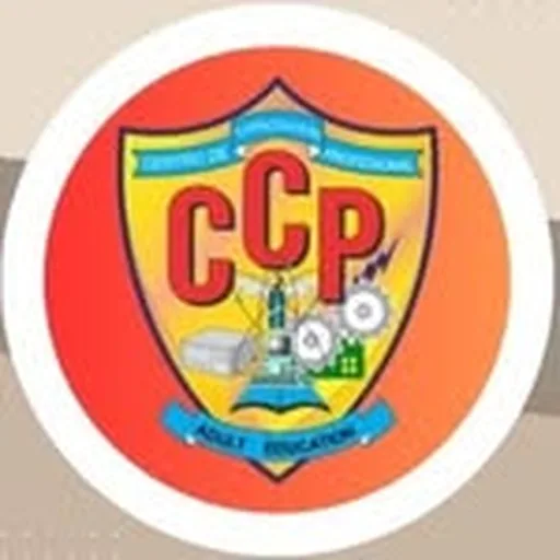 @ccp_dmv profile image