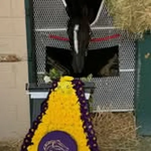 @cdevauxracing profile image