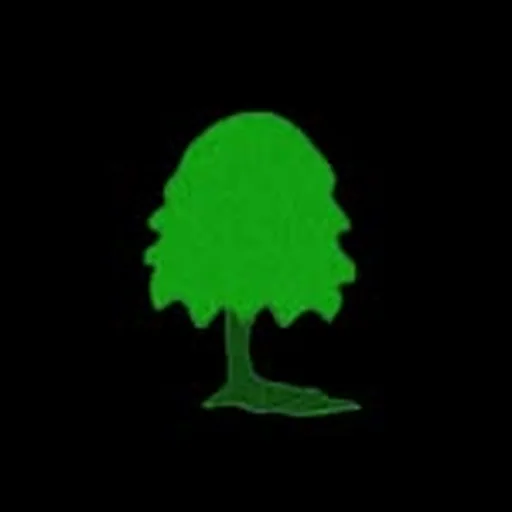 @cedarshanghai profile image