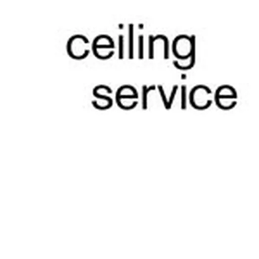 @ceilingservice profile image