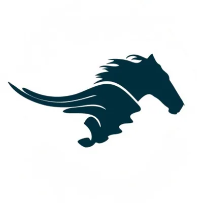 @celerisuk profile image