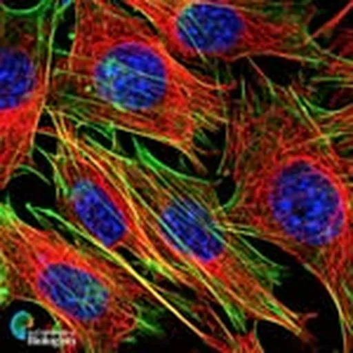 @cell_science_stories profile image