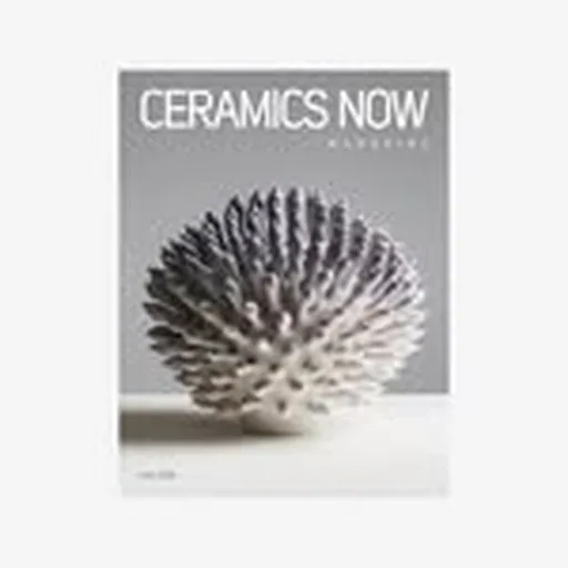 @ceramicsnow profile image