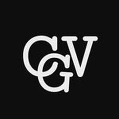 @cg.visualization profile image