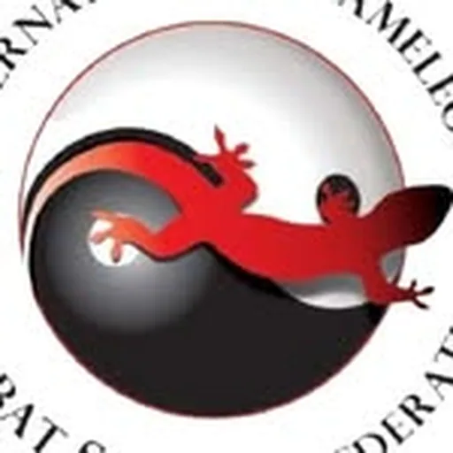 @chameleongym.dojo profile image