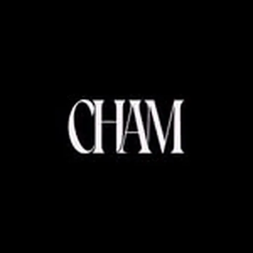 @chamlosangeles profile image