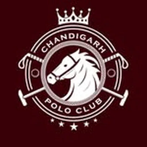 @chandigarhpolo profile image