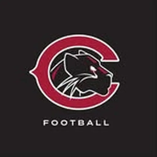 @chapman_fb profile image