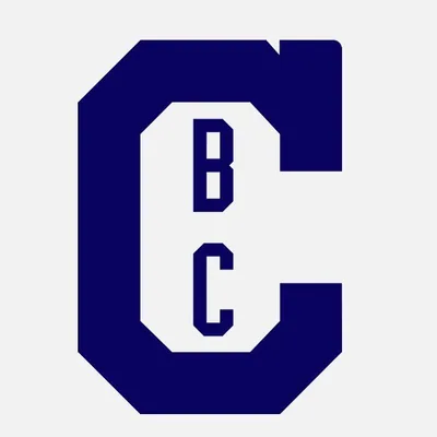 @chapmanbaseballcompound profile image