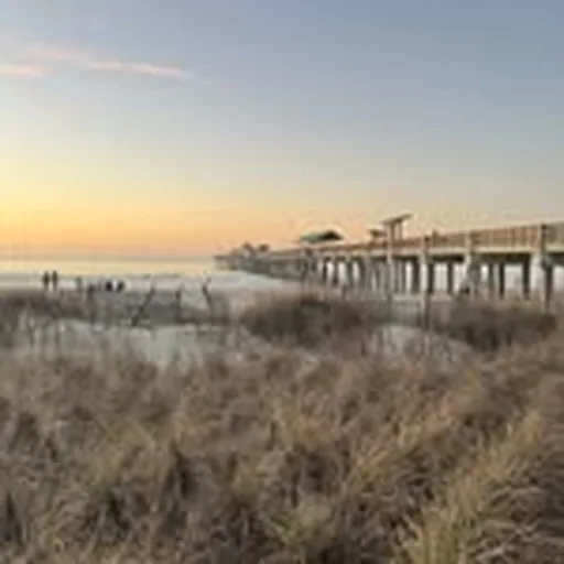 @charleston_daily profile image