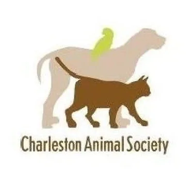 @charlestonanimalsociety profile image
