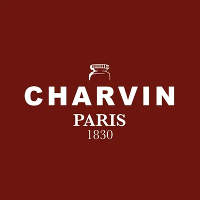 @charvinarts profile image
