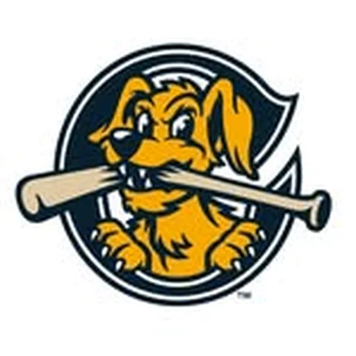 @chasriverdogs profile image