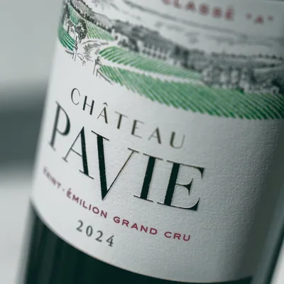 @chateaupavieofficiel profile image