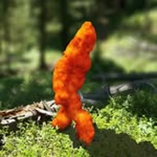 @cheesecurlsofinstagram profile image
