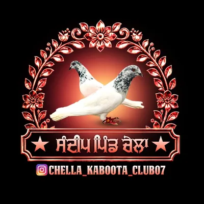 @chella_kaboota_club07 profile image