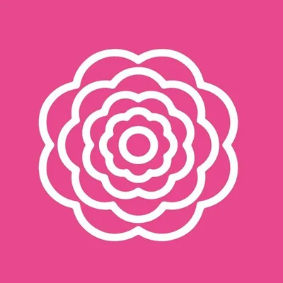 @cherielingeriepakistan profile image