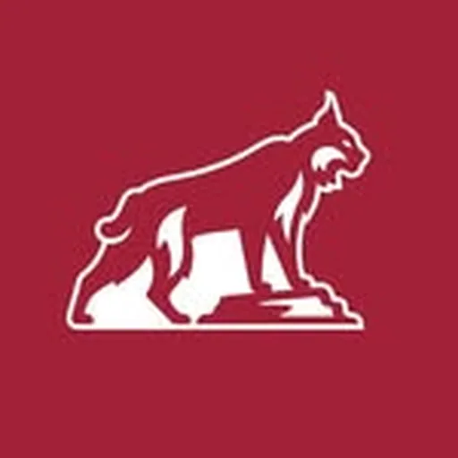 @chicostate profile image