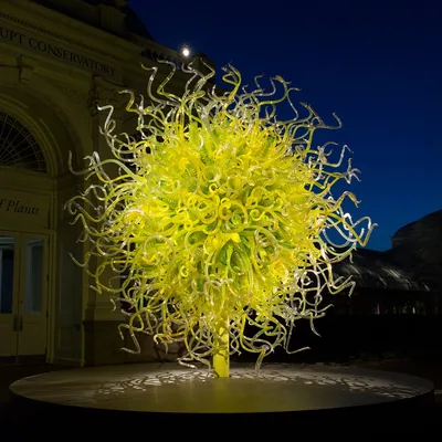 @chihulystudio profile image