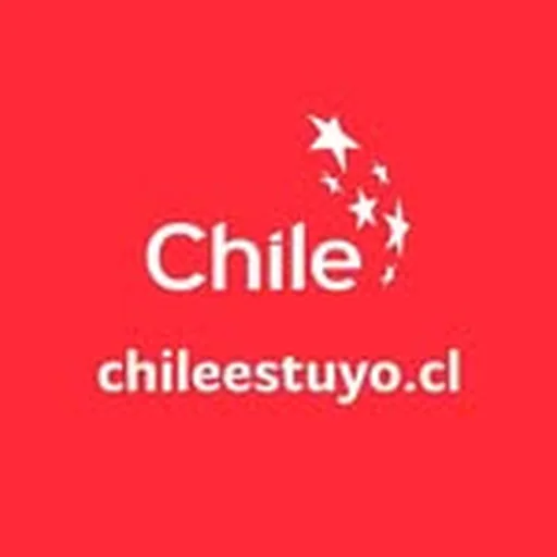 @chile_estuyo profile image