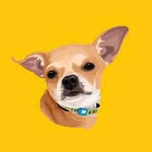 @chipozeri profile image
