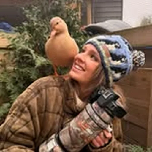 @chirpsandwaffles profile image
