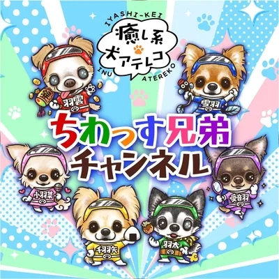 @chiwassu.ch profile image