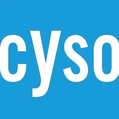 @chiyso profile image