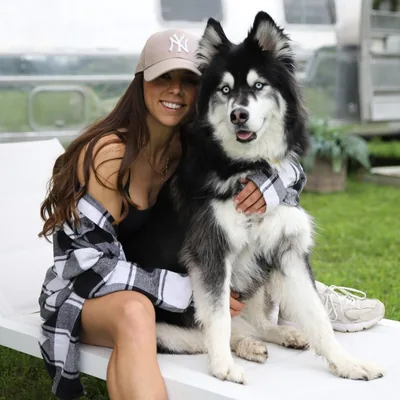 @chloe.petinfluencer profile image